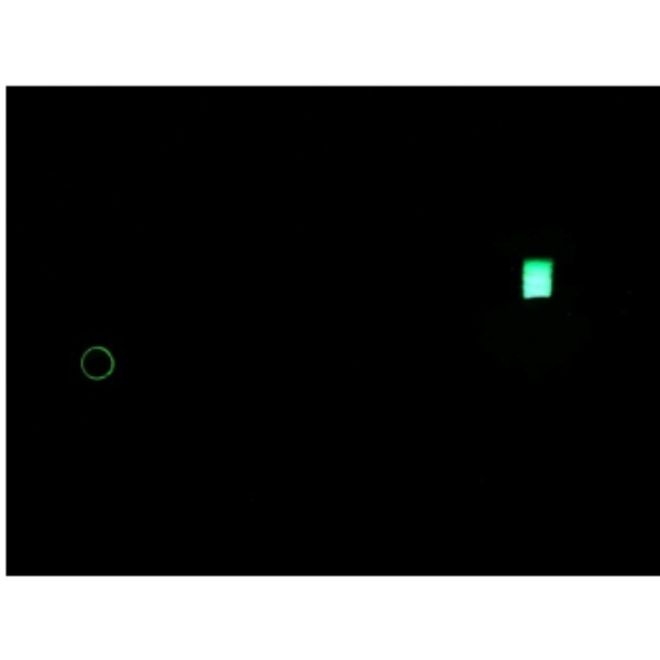 エメラルダスダートLC TypeS 3.5